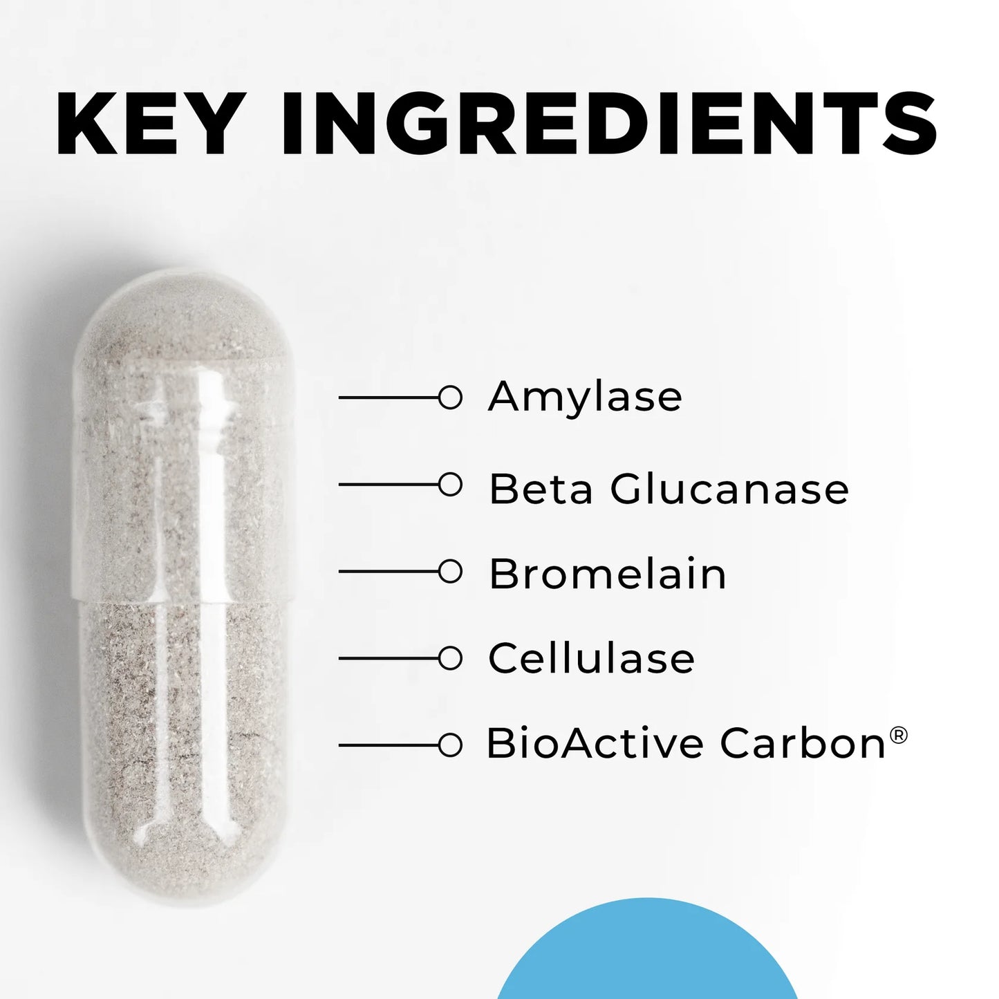 CT-Zyme