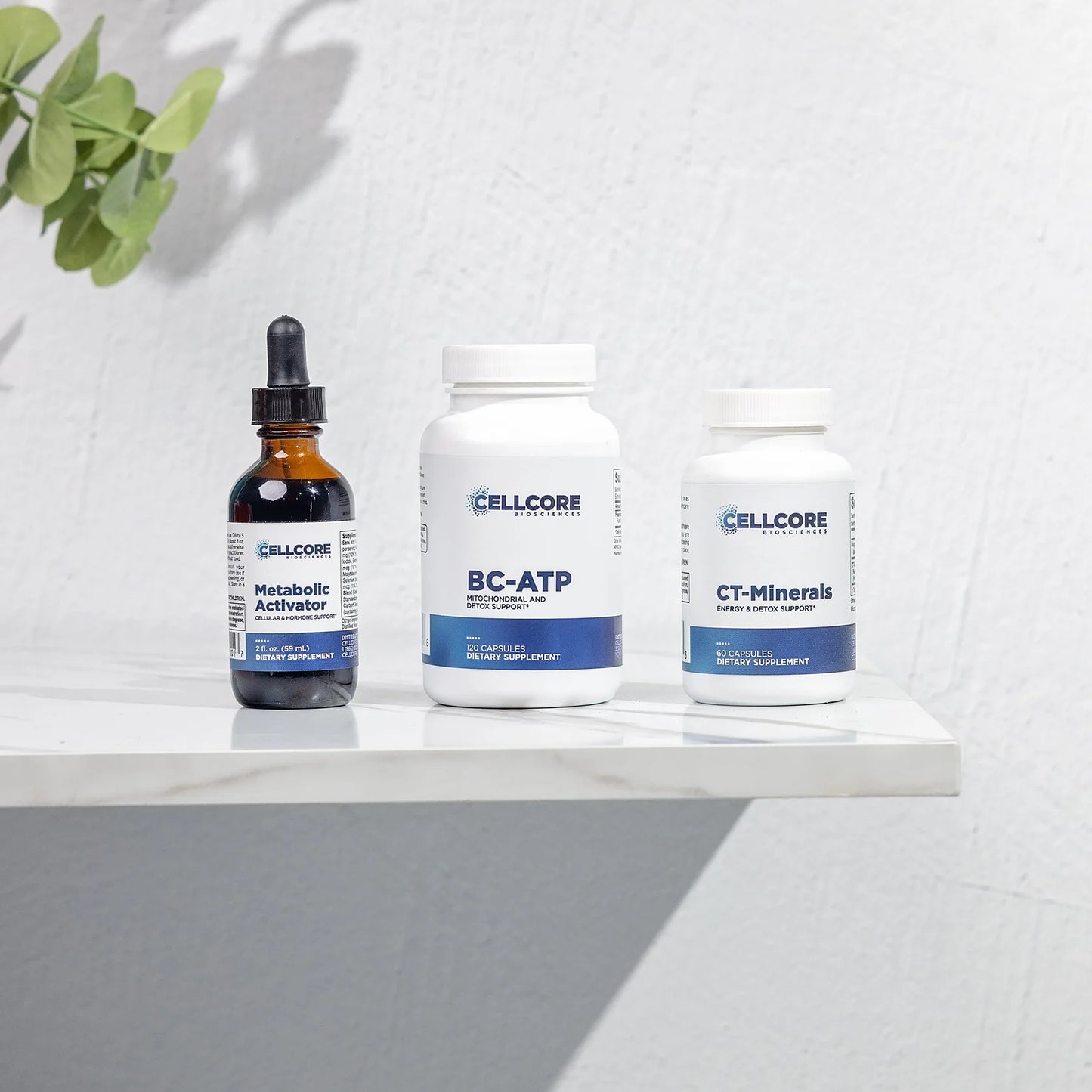 Energy Boost Kit