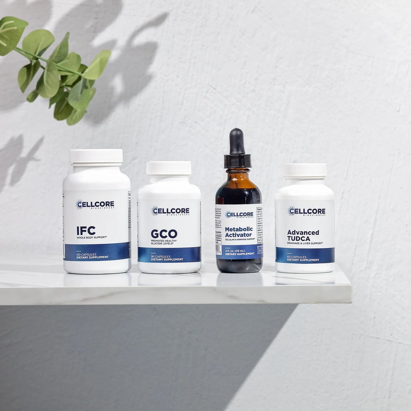 Metabolic Support Kit