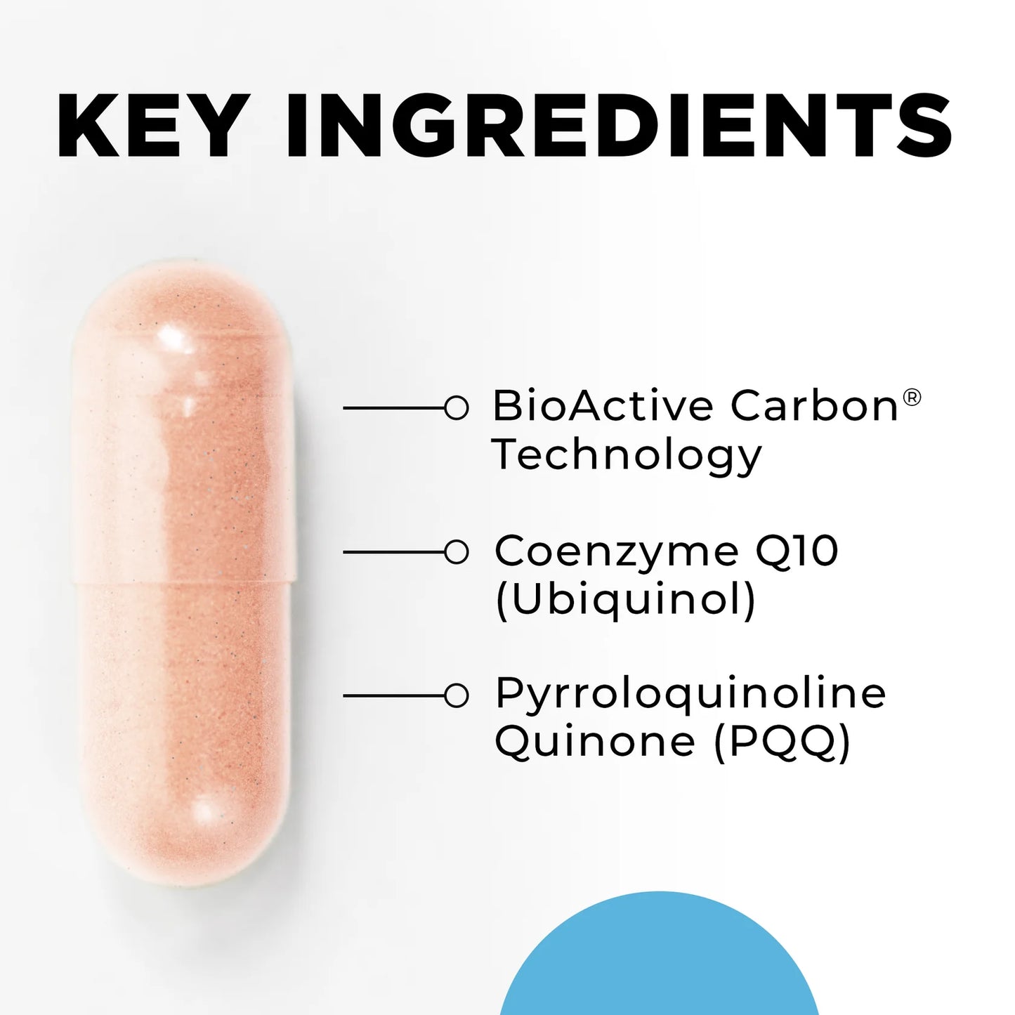 MitoActive™